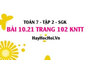 Bài 10.21 trang 102 Toán 7 Tập 2 Kết nối tri thức